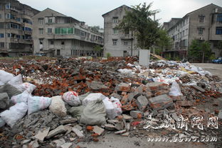 小區環境治理 從臟亂差到整潔美的蛻變之路